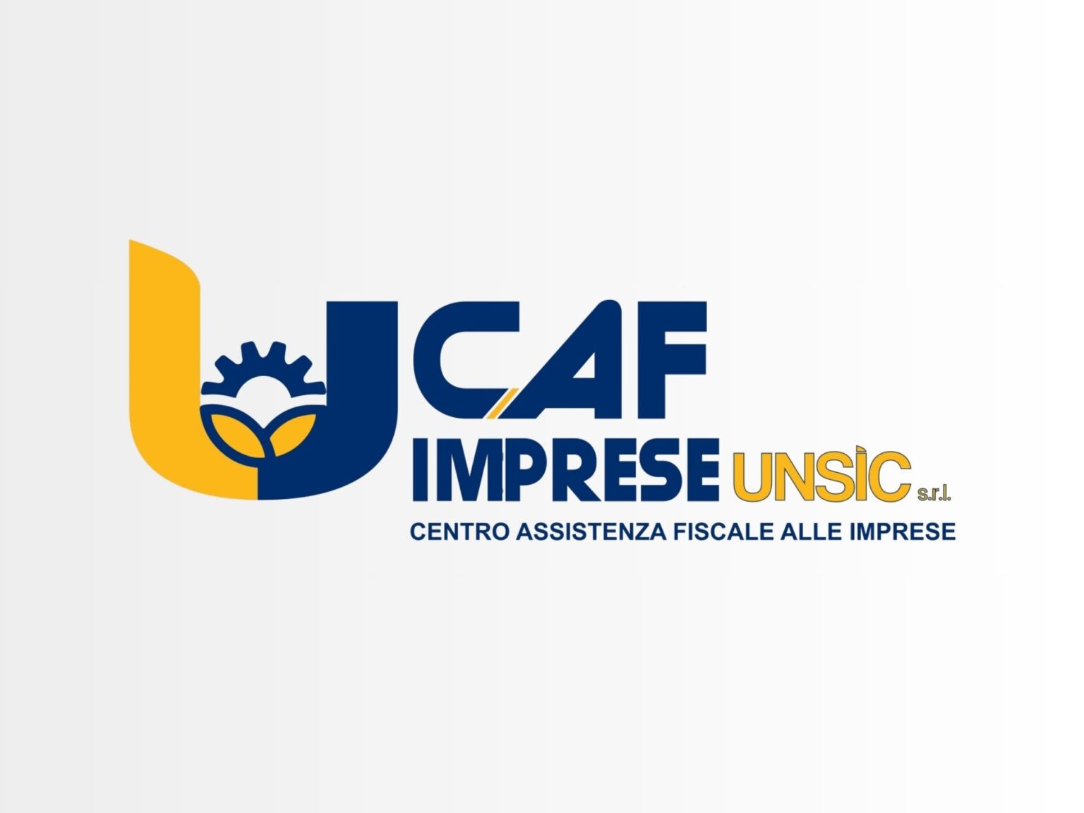 CAF Imprese UNSIC – Servizi fiscali per imprese associate - Unsic TV