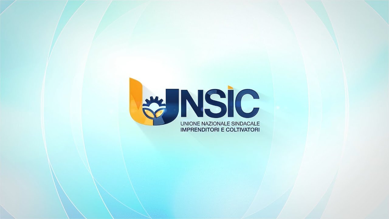 Scheda UNSIC 2025: chi siamo e cosa facciamo